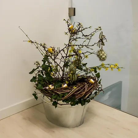 La Rosa Del Corso Apartman *